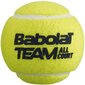 Sporta apavi babolat babolat team all court x3 501083 цена и информация | Āra tenisa preces | 220.lv