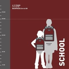 Школьный рюкзак Harry Potter Gryffindor Красный (30 x 18 x 46 cm) цена и информация | Школьные рюкзаки, спортивные сумки | 220.lv
