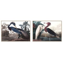 Картина DKD Home Decor, Птица (123 x 4,5 x 83 cm) (83 x 4,5 x 123 cm) (2 шт.) цена и информация | Картины | 220.lv