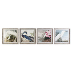 Картина DKD Home Decor, Птица (60 x 2,5 x 60 cm) (4 шт.) цена и информация | Картины | 220.lv