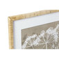 Glezna DKD Home Decor Ziedi Shabby Chic (55 x 2,5 x 70 cm) (2 gb.) cena un informācija | Gleznas | 220.lv