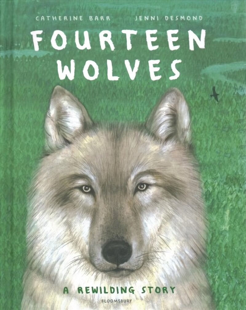 Fourteen Wolves: A Rewilding Story cena un informācija | Grāmatas pusaudžiem un jauniešiem | 220.lv