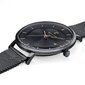 Vīriešu pulkstenis Pierre Lannier 209G439 cena un informācija | Vīriešu pulksteņi | 220.lv