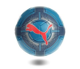 Футбольный мяч Puma evoPower, size 5 (4540962) 2027 цена и информация | Футбольные мячи | 220.lv