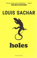 Holes цена и информация | Книги для подростков  | 220.lv