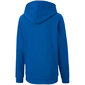Bērnu džemperis Puma teamGOAL 23 Casuals Hoody Jr blue 656711 02 цена и информация | Zēnu jakas, džemperi, žaketes, vestes | 220.lv