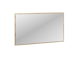 Зеркало Nevio 16, 103x69 см цена и информация | Зеркальца | 220.lv