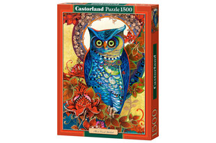 Puzle Castorland Copy of Hoot, David Galchutt, 1500 daļu cena un informācija | Puzles, 3D puzles | 220.lv