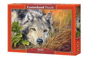 Puzle Castorland Pure Soul, 500 daļu cena un informācija | Puzles, 3D puzles | 220.lv