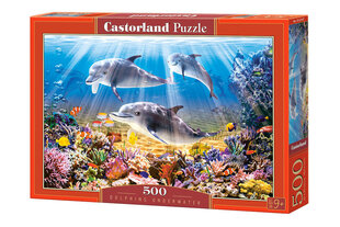 Пазл Castorland Dolphins Underwater, 500 деталей цена и информация | Пазлы | 220.lv