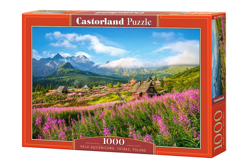 Puzle Castorland Tatras, Poland 1000 daļu cena un informācija | Puzles, 3D puzles | 220.lv