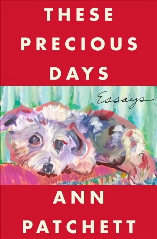 These Precious Days: Essays cena un informācija | Dzeja | 220.lv