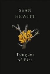Tongues of Fire цена и информация | Поэзия | 220.lv