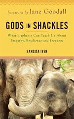 Gods in Shackles: What Elephants Can Teach Us About Empathy, Resilience and Freedom цена и информация | Биографии, автобиогафии, мемуары | 220.lv