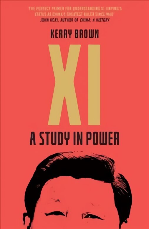 Xi: A Study in Power цена и информация | Biogrāfijas, autobiogrāfijas, memuāri | 220.lv