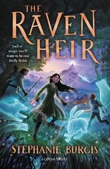 Raven Heir цена и информация | Книги для подростков и молодежи | 220.lv