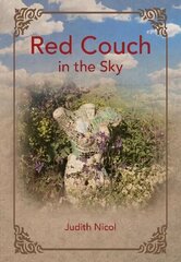 Red Couch in the Sky цена и информация | Биографии, автобиогафии, мемуары | 220.lv