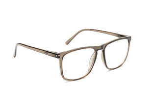 Lasīšanas brilles Granite 6550 cena un informācija | Brilles | 220.lv