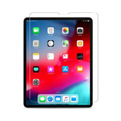 Aizsargstikls priekš Apple iPad Pro 11″ (2018) cena un informācija | Citi aksesuāri planšetēm un e-grāmatām | 220.lv