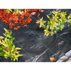 Пленка от сорняков Nature (1 x 50 м) цена и информация | Ветки | 220.lv