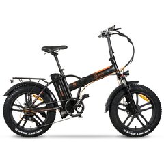 Электрический велосипед Youin BK1200 YOU-RIDE TEXAS 250W 25 км/ч цена и информация | Электровелосипеды | 220.lv