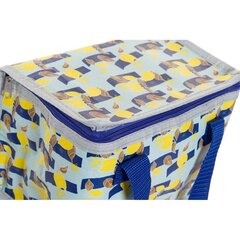 Ledus Somu DKD Home Decor Sarkans Zils Dzeltens PP Neilons (21 x 14 x 13 cm) (3 gb.) cena un informācija | Aukstuma somas, aukstuma kastes un aukstuma elementi | 220.lv