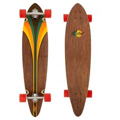 Longboard Dstreet Pintail Malibu BR 40" цена и информация | Скейтборды | 220.lv