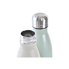 Nerūsējošā Tērauda Blašķe DKD Home Decor To Go Sudrabains Bēšs Zaļš (500 ml) (2 gb.) cena un informācija | Ūdens pudeles | 220.lv