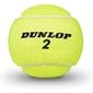 tenisa bumbiņas D TB CLUB AC 3 PET Dunlop 601334 3 Daudzums (Gumijas) cena un informācija | Āra tenisa preces | 220.lv