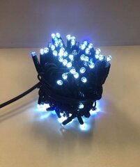 Уличная гирлянда 100LED/10 м + 1.5 м, холодный белый /синий  цена и информация | Гирлянды | 220.lv