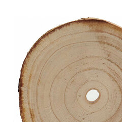 Dekoratīvs žurnāls Brūns Paulovnijas koks (16 x 2 x 16 cm) cena un informācija | Dārza dekori | 220.lv