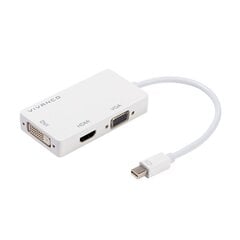 Adapteris Vivanco Mini DisplayPort, 0.1 m cena un informācija | Adapteri un USB centrmezgli | 220.lv