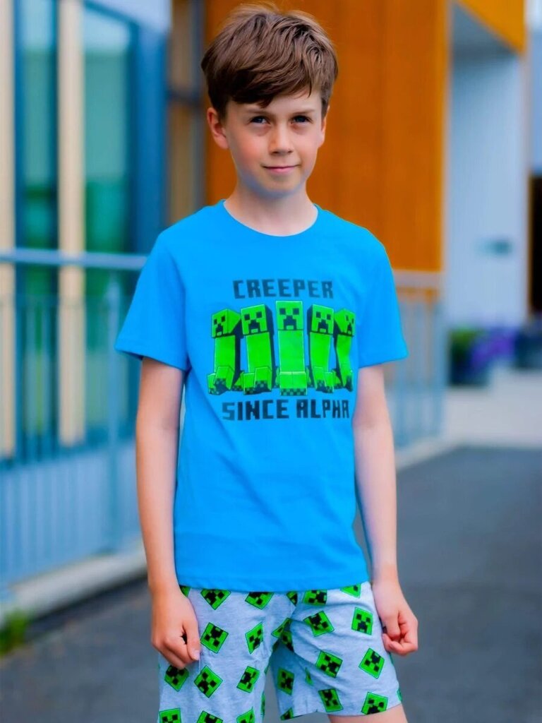 Bērnu pidžamas Minecraft cena un informācija | Zēnu pidžamas, halāti | 220.lv