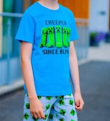 Комплект из шорт и футболки MINECRAFT цена и информация | Пижамы, халаты для мальчиков | 220.lv