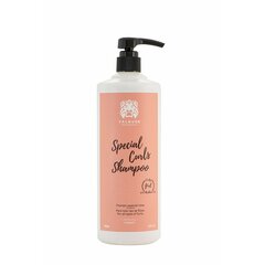 Šampūns sprogainiem matiem Special Curls Valquer (1000 ml) cena un informācija | Šampūni | 220.lv