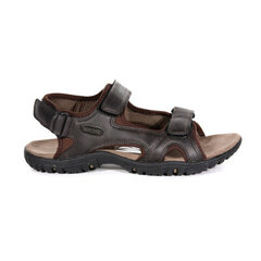 Vīriešu sandales Haris Sandals 5051513258506 цена и информация | Мужские шлепанцы, босоножки | 220.lv