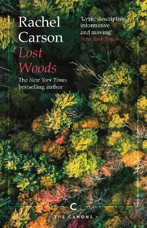 Lost Woods Main - Canons cena un informācija | Stāsti, noveles | 220.lv