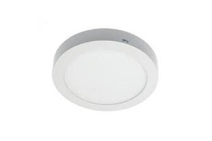 LED lampa ORIS PLUS 19W AC220-240V IP20 4000 K 1520 lm 120° цена и информация | Монтируемые светильники, светодиодные панели | 220.lv