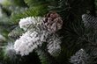 Mākslīgā Ziemassvētku eglīte Kaukasia 2,20 m, ar čiekuriem un sniegu, 6124 цена и информация | Mākslīgās egles, vainagi, statīvi | 220.lv
