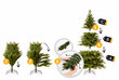 Mākslīgā Ziemassvētku eglīte PVC, Doris 1,80 m, ar gaiši zaļiem galiem (diametrs 95 cm) 2862 цена и информация | Mākslīgās egles, vainagi, statīvi | 220.lv