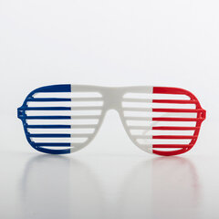 Очки со шторками от солнца, флаг Франции цена и информация | Карнавальные костюмы, парики и маски | 220.lv