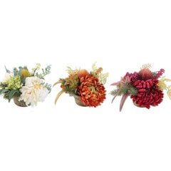 Декоративное растение DKD Home Decor цена и информация | цветочные соцветия 1 шт | 220.lv