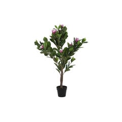Декоративное растение DKD Home Decor Розовый Зеленый PE (60 x 60 x 125 cm) цена и информация | Искусственные цветы | 220.lv