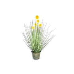 Декоративное растение DKD Home Decor Куб Зеленый Жёлтый Латунь PE (20 x 20 x 50 cm) цена и информация | Искусственные цветы | 220.lv