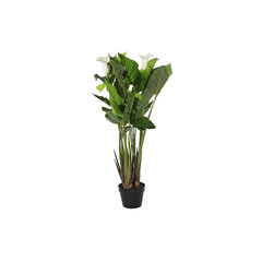 Декоративное растение DKD Home Decor Белый Зеленый PE лилии (50 x 50 x 100 cm) цена и информация | Искусственные цветы | 220.lv