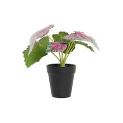 Декоративное растение DKD Home Decor Розовый Зеленый PE (10 x 10 x 22 cm) цена и информация | Искусственные цветы | 220.lv