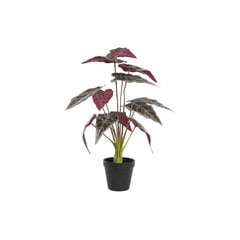 Декоративное растение DKD Home Decor Зеленый Бордовый PE (20 x 20 x 49 cm) цена и информация | Искусственные цветы | 220.lv