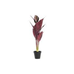 Декоративное растение DKD Home Decor, 25 x 25 x 67 см цена и информация | Искусственные цветы | 220.lv