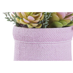 Декоративное растение DKD Home Decor Розовый EVA PE (17.5 x 14 x 20 cm) (2 штук) цена и информация | Искусственные цветы | 220.lv