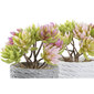 Dekoratīvs Augs DKD Home Decor Pelēks Bēšs Rozā Zaļš EVA PE (2 gb.) (12 x 10 x 14,5 cm) цена и информация | Mākslīgie ziedi | 220.lv